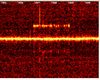 Radio observation of the 2008 Perseid meteor shower